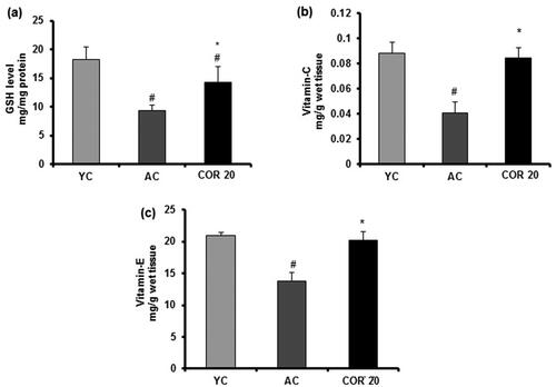 Figure 8. Effect of COR on testis non-enzymatic antioxidant in aged rats. GSH level (a), vitamin C level (b) and vitamin E level (c). The results are expressed as mean ± SD (n = 6), where #p < 0.05 compared with YC group and *p < 0.05 compared with AC group. YC: young rats; AC: aged rats; COR 20: cordycepin (COR) 20 mg/kg treated aged rats; GSH: reduced glutathione; vitamin C: ascorbic acid and vitamin E: α-tocopherol.