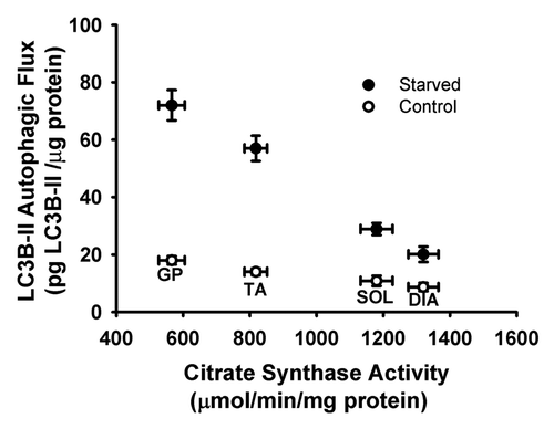 Figure 7. Relationship between LC3B-II autophagic flux and citrate synthase activity in DIA, TA, SOL, and GP muscles of control and acutely starved mice.