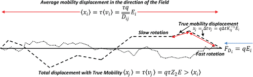 Figure 2. Shows the comparison between true and average displacements for two equivalent structures rotating fast (dotted line) and slow (dashed line). True mobility displacement is not in the direction of the Field but, when all directions are equally probable, the average displacement in the direction of the Field is given by <xi>. On the other hand, true displacement xj occurs in the direction of the velocity and is given by the true mobility Z2. It must always be true that <xj> ≥<xi>. Δt is the time taken for a single rotation while τ is the total time to cover a given distance.