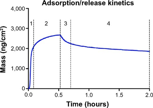 Figure 6 QCM-D data for the 7.2 nm sample, displaying the different stages of ALN adsorption and release.Notes: In (1), the adsorption kinetics is the rate-limiting factor. In (2), the rate-limiting factor of the adsorption is the diffusion factor. Between (2) and (3), the flow is changed to the rinsing flow, and the initial release (3) is determined by the molecular diffusion. The release becomes thereafter sustained (4) and the rate-limiting step is then the desorption isotherm.Abbreviations: ALN, alendronate; QCM-D, quartz crystal microbalance with dissipation.