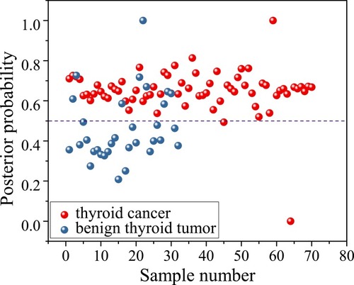 Figure 9 Scatter plot of posterior probabilities for differentiation between benign thyroid tumor and thyroid cancer using Lasso-PLS-DA together with the first derivative spectral data. The diagnostic accuracy of this separation line for differentiation between benign thyroid tumor and thyroid cancer is 90.2%.