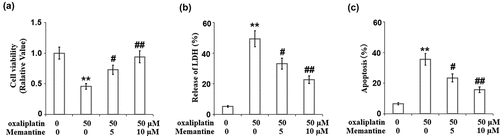 Figure 4. Memantine ameliorated oxaliplatin-induced reduction of cell viability in human SHSY-5Y neuronal cells. Cells were treated with oxaliplatin at 50 μM and Memantine at 5 and 10 µM for 24 hours. (a). Cell viability; (b). Release of LDH. (c) Apoptosis result (n = 6,**, P < 0.01 vs. vehicle group; #, ##, P < 0.05, 0.01 vs. oxaliplatin group).