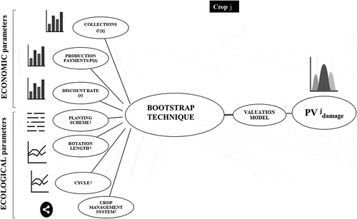 Figure 1. Diagram of a bootstrap technique application.