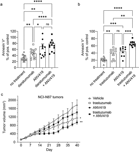 Figure 5. ANV419 increases NK cell killing capacity in vitro and enhances antibody-mediated tumor growth retardation in vivo. (a) NK cells purified from healthy donor PBMCs were incubated with or without ANV419 and co-cultured with NCI-H929 target cells in the presence or absence of daratumumab. n = 14 donors. (b) NK cells purified from healthy donor PBMCs were incubated with or without ANV419 and co-cultured with HER2+ HCC1954 target cells in the presence or absence of trastuzumab. n = 10 donors. A–B) annexin V positive cells as a percentage of the signal measured with the positive control (staurosporine). Mean ± SEM is shown. Statistical significance was determined by paired one-way ANOVA test. ns: p > 0.05; *: p ≤ 0.05; **: p ≤ 0.01; ***: p ≤ 0.001; ****: p ≤ 0.0001. (c) BALB/c nude mice with s.c. NCI-N87 tumors were i.v. treated with vehicle, 7.5 mg/kg trastuzumab twice per week (BIW), 0.22 mg/kg ANV419 once a week or a combination of trastuzumab and ANV419. n = 8 mice; mean ± SEM is shown; *p ≤ 0.05, **p ≤ 0.01 on Day 40. One-way ANOVA multiple comparison.