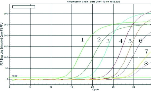 Figure 2. Test for sensitivity of real-time PCR for protein disulphide isomerase (PDI) detection.Note: Representative amplification plots are shown. 1–8 represent the standard curves based on 10-fold serial dilutions of between 108 and 101 plasmid equivalents: 1.0 × 108 copies/µL (1), 1.0 × 107 copies/µL (2), 1.0 × 106 copies/µL (3), 1.0 × 105 copies/µL (4), 1.0 × 104 copies/µL (5), 1.0 × 103 copies/µL (6); 1.0 × 102 copies/µL (7); and 1.0 × 101 copies/µL (8).