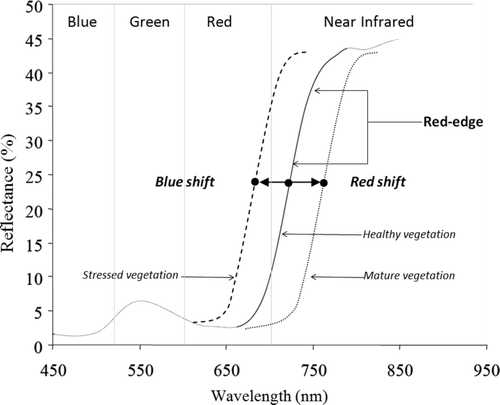 Figure 3. Typical vegetation spectrum showing the shifting of the red edge due to stress condition and maturity of vegetation (adopted from Lauden et al. 2003; Merton 1998; Eyers and Mills 2005).