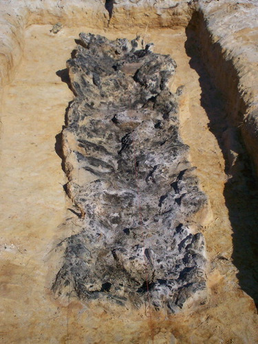 Figure 2. Rectangular cooking pit during excavation, Kosjärv, Töre parish. The compact layer of fire-cracked stones has been removed exposing the charred wood at the bottom of the pit. Photo Mirjam Jonsson, Norrbottens museum.