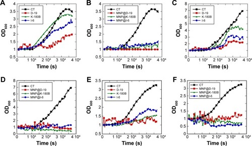 Figure 2 MNPs enhance the 1,4-DHP ability to inhibit the fungal growth.Note: Kinetic growth curves of Candida albicans (A and B), Candida glabrata (C and D) and Candida spp. (E and F) after treatment by 1,4-DHP derivatives in free form and immobilized on MNPs.Abbreviations: 1,4-DHP, 1,4-dihydropyridine; CT, control; MNPs, magnetic nanoparticles.