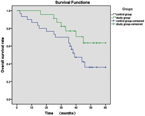 Figure 1 Kaplan–Meier plots of overall survival rates in the study and control groups.