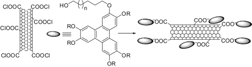 Scheme 27. Schematic representation of discotic-decorated SWNTs.