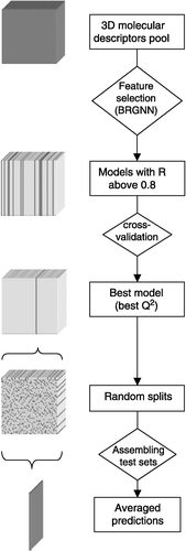 Figure 2 Flowchart of the modeling procedure.