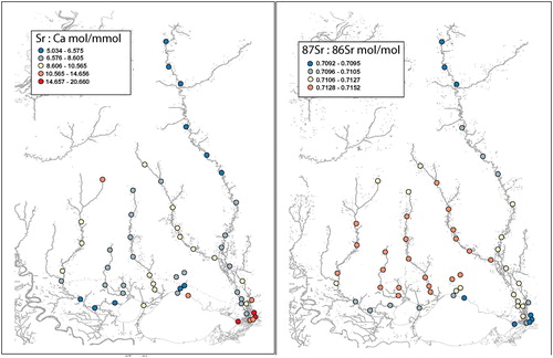 Figure 2. Sr/Ca (left panel) and 87Sr/86Sr (right panel) maps of the Pearl River and Lake Pontchartrain Watershed areas.