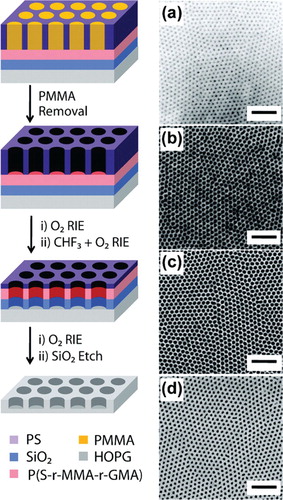 Figure 2. Schematic depiction of the fabrication of nanoperforated, highly oriented pyrolitic graphene (HOPG), or hG, using block copolymer lithography and the corresponding top-down scanning electron microscopy (SEM) images of (a) vertically oriented PMMA cylinders in a block copolymer thin film obtained by thermal annealing, (b) residual PS honeycomb template obtained after selective PMMA removal with UV irradiation, (c) etched structures after O2 followed by CHF3 + O2 plasma RIE resulting in the etching of the random copolymer mat and the oxide buffer layer, respectively, and (d) nanoperforated HOPG resulting from the final O2 plasma RIE and the removal of the oxide buffer by HF solution. Scale bars = 200 nm. Reproduced from Ref. [Citation15] with permission from American Chemical Society.