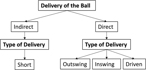Figure 1. Categorisation of variables associated with the delivery of the ball and type of delivery