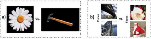 Figure 8. Showing the types of binary stimuli used. In a) classification of an imagined/perceived hammer vs. A flower adapted from Kosmyna et al. [Citation75], b) classification of Sydney Harbour bridge vs. Santa Claus adapted from Shatek et al. [Citation74].