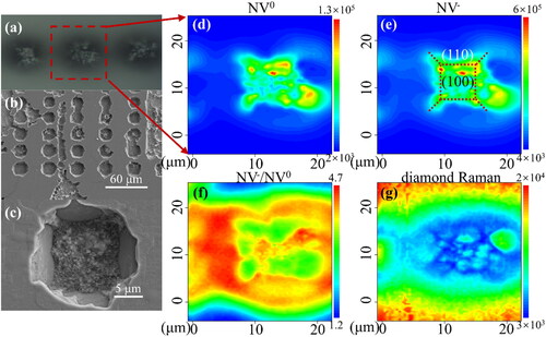 Figure 3. (a) Focusing micrograph when conducting PL mapping measurements; the defocusing is attributable to the height difference between the etching pit and surface. (b) SEM image of the etched diamond surface. (c) SEM image of one of the etched pits in (b). (d–g) PL contour maps for the etched pit. (d) Spectral integrated area of ZPL and phonon sidebands (574–590 nm) for NV0 color centers. (e) Spectral integrated area of ZPL and phonon sidebands (630–650 nm) for NV- color centers. (f) Spectral integrated area ratio of NV- to NV0 color centers. (g) Intensity of first-order diamond Raman peak.