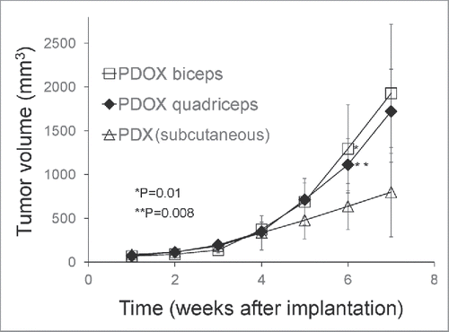 Figure 1. Growth of rhabdomyosarcoma (RMS) in the PDOX and subcutaneous-transplant models. Line graph shows tumor volume at each point. Six weeks after tumor implantation, the tumor volume in both PDOX models was significantly larger, both in the biceps-femoris muscle (G2) (1294.3 ± 504.8 mm3) (p = 0.01); and quadriceps-femoris muscle (G3) (1111.5 ± 296.6 mm3) (p = 0.008) compared to mice with subcutaneous tumors (G1) (636.7 ± 263.2 mm3). There were no significant differences in growth rate between tumors growing in either the biceps-femoris muscle or quadriceps-femoris muscle.