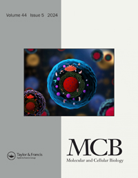 Cover image for Molecular and Cellular Biology, Volume 44, Issue 5, 2024