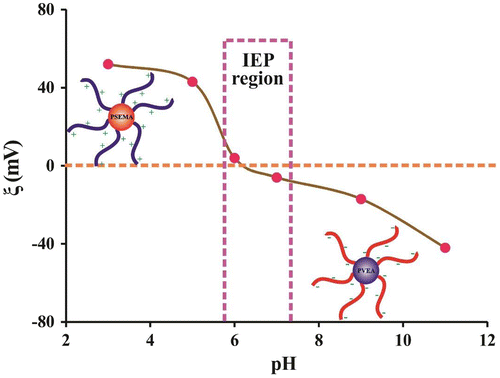 Figure 8. Variation of ξ potential with pH for a 0.50% (w/v) aqueous solution of the PSEMA-b-PVEA diblock copolymer.