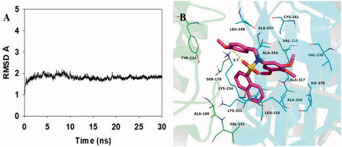 Figure 9. Molecular docking and molecular dynamics refinement of compound 5c with tubulin. (A) The root-mean-square deviation (RMSD) of all the atoms of tubulin-5c complex with respect to its initial structure as function of time. (B) Molecular dynamics results of tubulin-5c complex.