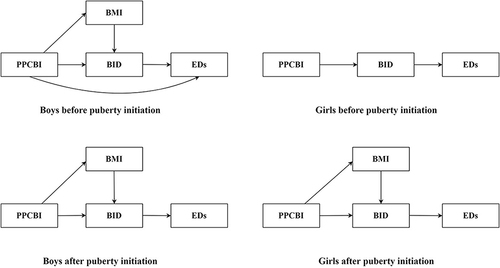 Figure 1 Preliminary association pathways among PPCBI, BMI, Bid, EDs.