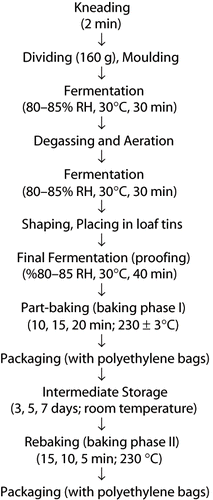 Figure 1 The production diagram of part-baked and rebaked white pan bread.
