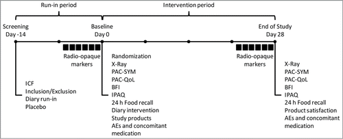 Figure 1. Study setup. AEs, adverse events; BFI, bowel function index; ICF, informed consent form; IPAQ, International Physical Activity Questionnaire; PAC-SYM, Patient Assessment of Constipation Symptoms; PAC-QoL, Patient Assessment of Constipation Quality of Life. ■, radio-opaque markers were consumed at the study site from Day -6 to Day -1 during the run-in period and from Day 22 to Day 27 during the intervention period.