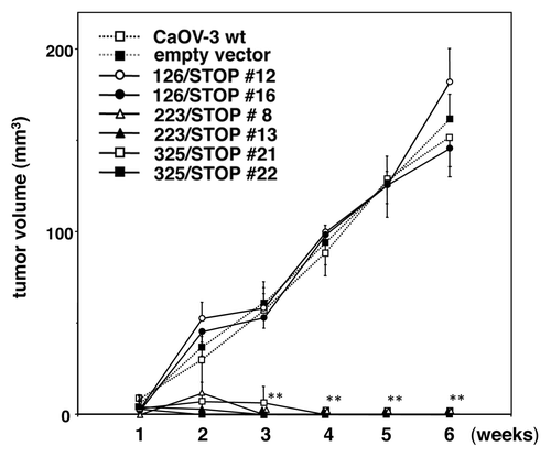 Figure 4. Tumor formation of transfected CaOV-3 clones in vivo. After 24 h of serum starvation, each clone (5 × 106 cells) was resuspended in sterile PBS and injected s.c. in nude mice. Each point represents mean and SD from 5 mice. **p < 0.001 vs. empty vector.