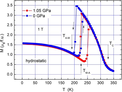 Figure 4. Temperature dependence of magnetization of the Ni1.88Mn1.6Sn0.52 alloy at ambient (square) and under hydrostatic pressure (circle).