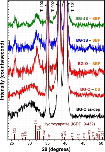 Figure 7 GIXRD patterns (α=2°) of BG coatings tested in vitro in SBF and DS media for 28 days.Abbreviations: GIXRD, grazing-incidence X-ray diffraction; BG-O, films deposited from the simple BG target; BG-3S, films deposited from BG target with three silica plates; BG-5S, films deposited from BG target with five silica plates; as-dep, as-deposited; ICDD, International Centre for Diffraction Data; SBF, simulated body fluid; DS, simple cell-culturing medium.