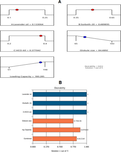Figure 5. Bar chart and desirability ramp for optimization process. The desirability ramp illustrates the levels of factors and expected values for the dependent variables of the optimized ZP-LV-SNEDDS (A). The bar chart illustrates the values of desirability for the conjugated responses (B).