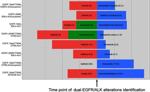 Figure 4 Presentation of the detailed treatment history (before and after baseline) and subsequent clinical outcomes (after baseline) of eight patients with EGFR/ALK co-alterations. The timepoint of the positive detection of the EGFR/ALK co-alteration was defined as baseline. After baseline, five patients were treated with subsequent single TKIs (EGFR-TKIs or ALK-TKIs), and three patients received subsequent dual-TKI treatment (EGFR-TKI plus ALK-TKI).Abbreviation: ALK, anaplastic lymphoma kinase.