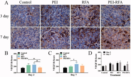 Figure 5. The changes in VEGF expression in each group. (A) HE staining shows expression levels of VEGF, the cytoplasm was strongly stained as brown-yellow, moderately stained as dark yellow, and weakly stained as light yellow (400×); The comparison of VEGF H-score among groups 3 d (B) and 7 d (C) after treatment (**p < 0.01 versus control group; #p < 0.05, ##p < 0.01 versus between groups); (D) The comparison between a different time for the same treatment (*p < 0.05). Bars represent the standard deviation (n = 5).