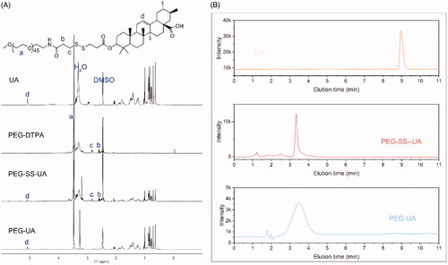 Figure 1. (A) 1H NMR spectra of UA, PEG-DTPA, PEG-SS-UA, and PEG-UA using DMSO-d6 as the solvent. (B) HPLC spectra of UA, PEG-SS-UA, and PEG-UA.