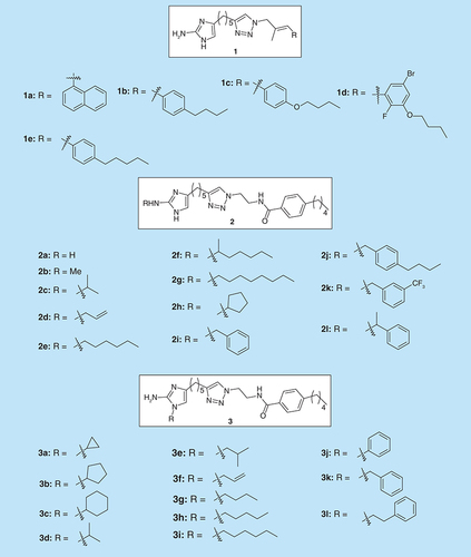 Figure 2.  2-aminoimidazole based biofilm inhibitors.