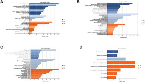 Figure 5 GO analysis of significantly differentially expressed mRNAs. GO terms of upregulated and downregulated mRNAs in the IR Con vs Sham Con group and the IR OI vs IR Con group. (A) Downregulated mRNAs after OI pretreatment. (B) Upregulated mRNAs after hepatic IR injury. (C) Downregulated mRNAs after hepatic IR injury. (D) Upregulated mRNAs after OI pretreatment. The top ten or all the GO terms with P value < 0.05 were listed.