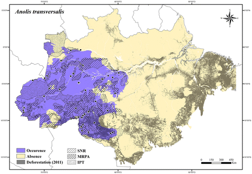 Figure 17. Occurrence area and records of Anolis transversalis in the Brazilian Amazonia, showing the overlap with protected and deforested areas.