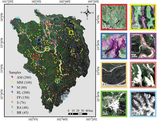 Figure 2. Locations of reference samples in the study area and typical examples of wetland covers in the Landsat 8 OLI images. AM = alpine meadow, MM = marsh meadow, M = marsh, RL = river and lake, FP = floodplain, S = sediments, RA = residential area, BR = bedrock