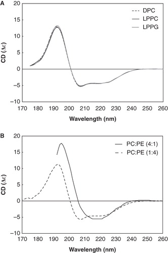 Figure 3. SRCD spectrum of p7 in different lipid environments. (A) SRCD spectra of p7 incorporated in DPC (dotted line), LPPC (thin solid line) and LPPG (thick solid line) detergents. (B) SRCD spectra of p7 in PC-rich (solid line) and PE-rich (dotted line) SUVs.