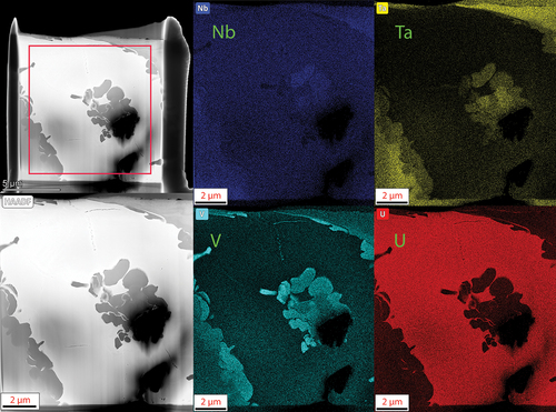 Fig. 15. EDS maps of the lamella for the NbTaVU2 alloy. The two distinct regions observed in the SEM-EDS results are observed in finer detail here. The refractory elements form a distinct refractory phase that is absent of U while the U forms a U-rich matrix around it with some mixing of refractory elements.