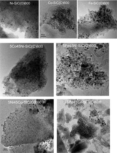 Figure 5. TEM micrographs of mono- and bimetallic/SiC(O) ceramics prepared at 600 °C in argon atmosphere.