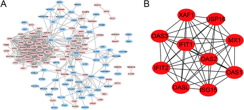 Figure 2 The protein-protein interaction (PPI) network. (A) The PPI network of DEGs, marked in red indicates up-regulation of the gene, while blue indicates down-regulation of the gene, the connecting lines indicate the association of the two genes; (B) The top 10 genes with higher degree.
