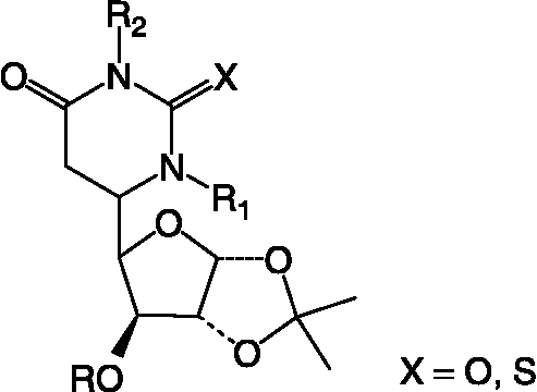 Figure 6 Core structure of nucleosides.