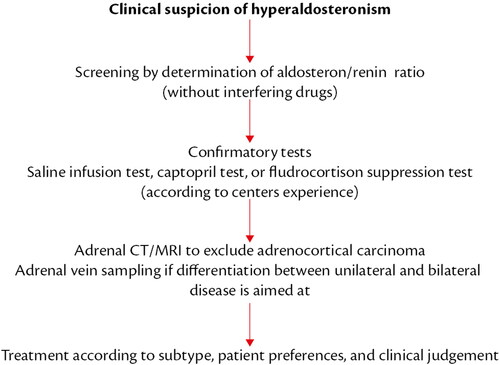 Figure 1. Flow chart diagnosis of hyperaldosteronism. Modified from Ref [Citation1].