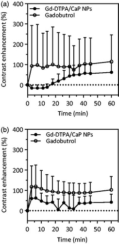 Figure 8. Semi-quantitative analysis of contrast agent uptake in the popliteal LN. Gd-DTPA/CaP NPs accumulated slowly in the LN under anaesthetic conditions (a), while the uptake was faster if external pressure was applied after injection (b). In both cases, gadobutrol was quickly drained to the LN, although higher variability in the contrast enhancement was observed in this case. Data are expressed as mean + SD (n = 5).