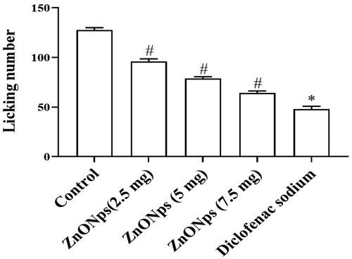 Figure 5. Antinociceptive consequence of ZNO-NP in the nociception encouraged by glutamate in mice. All values are illustrated as mean ± SD of six animals. The statistical significance level was calculated by one-way ANOVA followed by the Dunnet’s post hoc test; note: #p < .05 when compared with control group and *p < .05 when compared with ZnONPs administered groups.