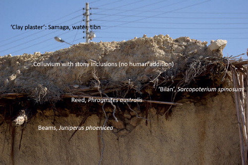 Fig. 5. Roofing materials from one of the houses at Al Ma’tan. Showing the different components used in roof construction: Juniperus phoenicea beams, Phragmites australis (reeds), ‘Bilan’ (Sarcopoterium spinosum), colluvium and clay plaster made from samaga (clay), tibn (temper) and water.