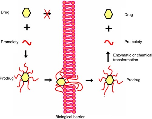 Figure 4 Illustration of the prodrug approach.