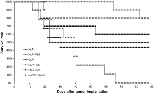 Figure 6 Mean survival time of female Kunming mice with sarcoma 180 xenografts after treatment. Dosage was adjusted to attain a doxorubicin (DOX) concentration of 5 mg/kg.*Note: *Data are presented as mean plus or minus standard deviation (n = 10).Abbreviations: CLPs, cationic liposomes; CLP-PEG, polyethylene glycolylated cationic liposomes; NLPs, neutral liposomes; NLP-PEG, polyethylene glycolylated neutral liposomes.