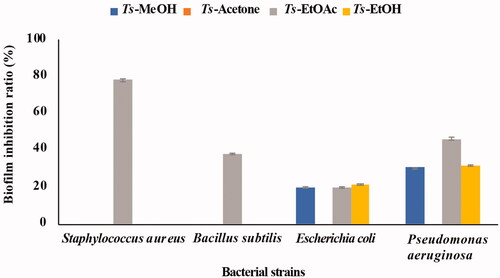 Figure 1. Biofilm inhibitory activities of different solvent extracts of Thais savignyi snails.
